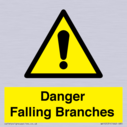 danger-falling-branches~